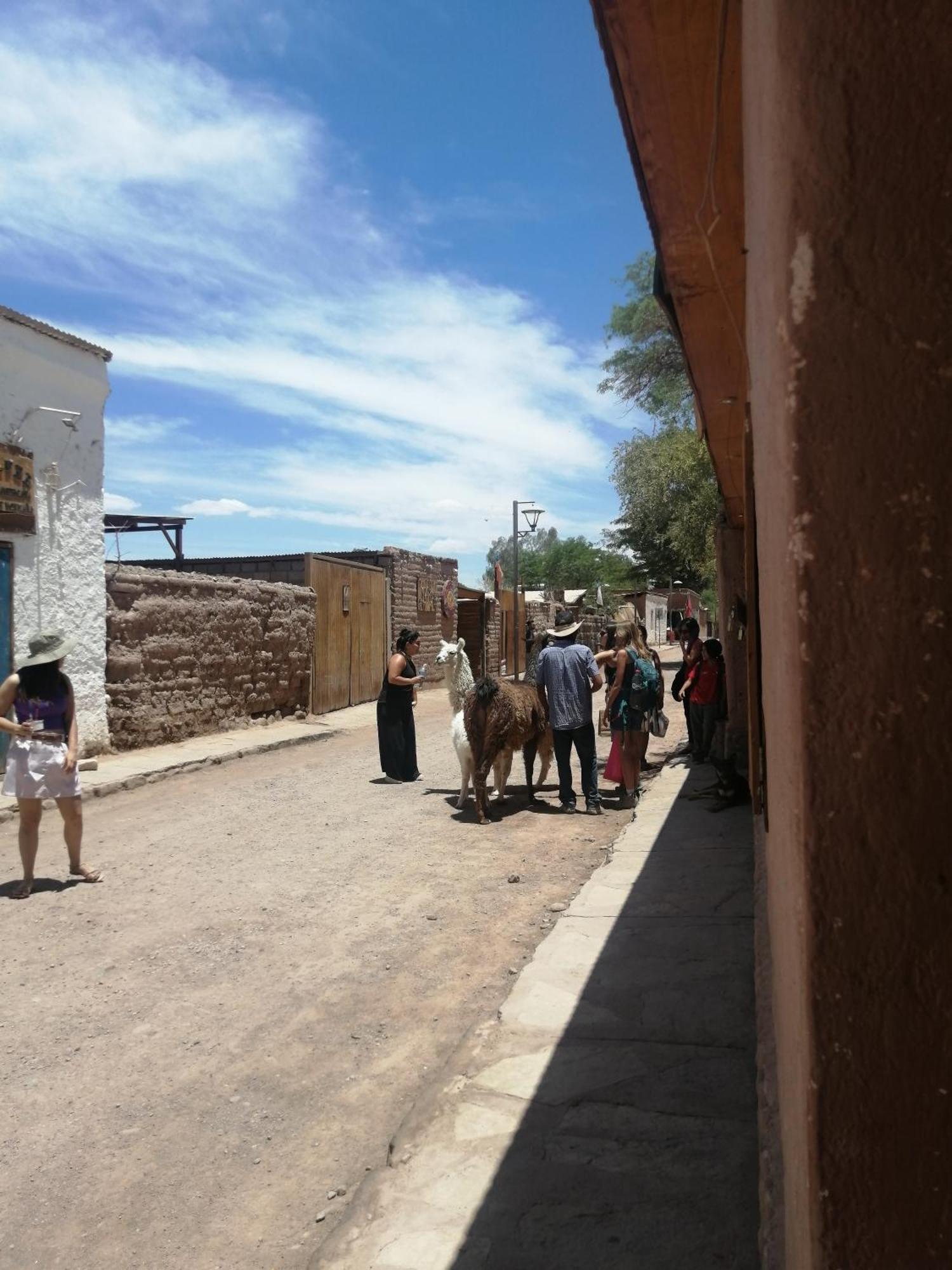 Apartmán Viajes & Vida Km0 San Pedro de Atacama Exteriér fotografie
